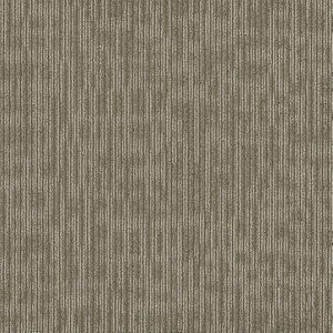 Philadelphia Queen Carpet - Genius - Brilliant - 24x24