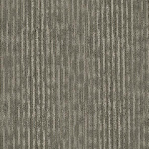 Philadelphia Queen Carpet - Genius - Masterful - 24x24