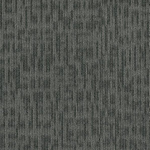 Philadelphia Queen Carpet - Genius - Sharp - 24x24
