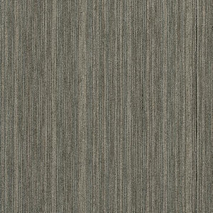 Philadelphia Queen Carpet - Intellect - Masterful - 24x24