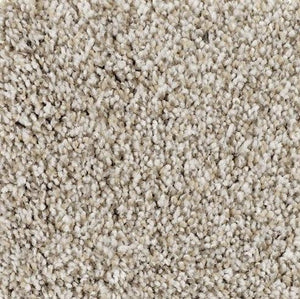Mohawk Carpet - WD017 - 1
