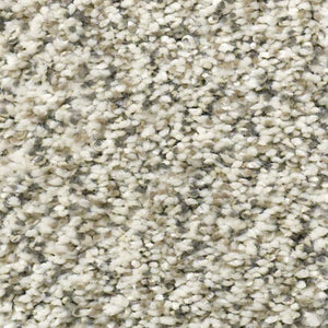 Shaw Carpet - All Set I - Goose Feather
