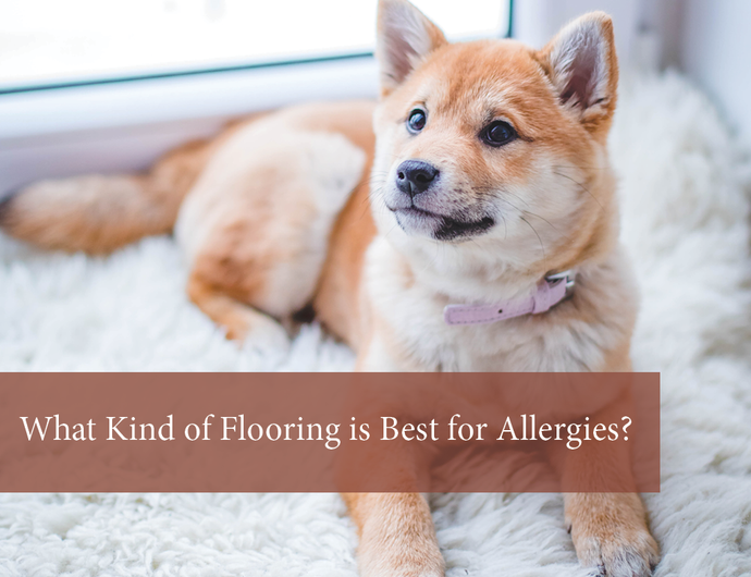 Best (& Worst) Flooring for Allergies & Asthma