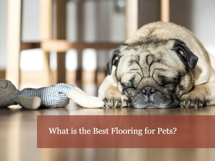 The Best Flooring for Pet Lovers