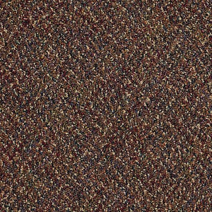 Philadelphia Queen Carpet - Change in Attitude - Chill Out - 24x24
