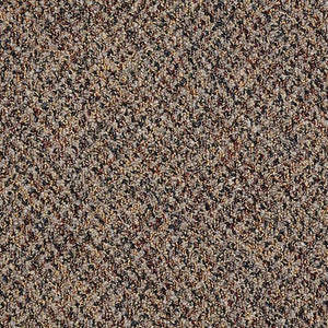 Philadelphia Queen Carpet - Change in Attitude - Get a Grip - 24x24
