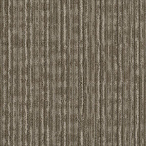 Philadelphia Queen Carpet - Genius - Scholarly - 24x24