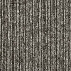 Philadelphia Queen Carpet - Genius - Smarts - 24x24