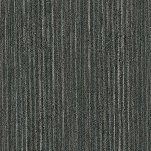 Philadelphia Queen Carpet - Intellect - Sharp - 24x24