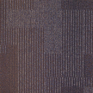Next Floor Carpet - Development - Aquifer - 19.7x19.7