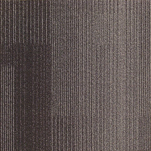 Next Floor Carpet - Development - Carbon - 19.7x19.7
