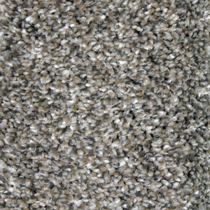 Shaw Carpet - Powell Can - Pewter