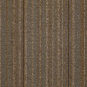 Philadelphia Queen Carpet - Wired - Energize - 24x24