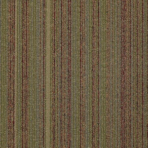 Philadelphia Queen Carpet - Wired - Juice - 24x24