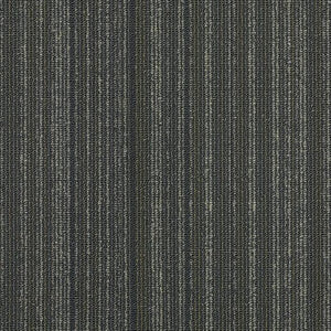 Philadelphia Queen Carpet - Wired - Shocked - 24x24