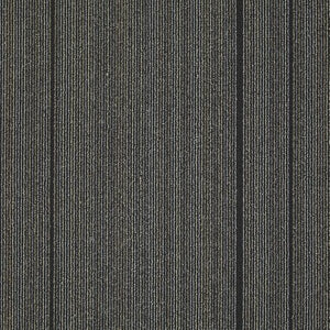 Philadelphia Queen Carpet - Wired - Spark - 24x24