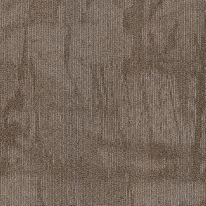 Philadelphia Queen Carpet - Chiseled - Compose - 24x24