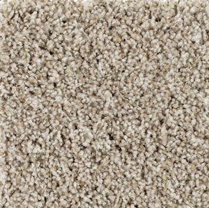 Mohawk Carpet - WD017 - 3